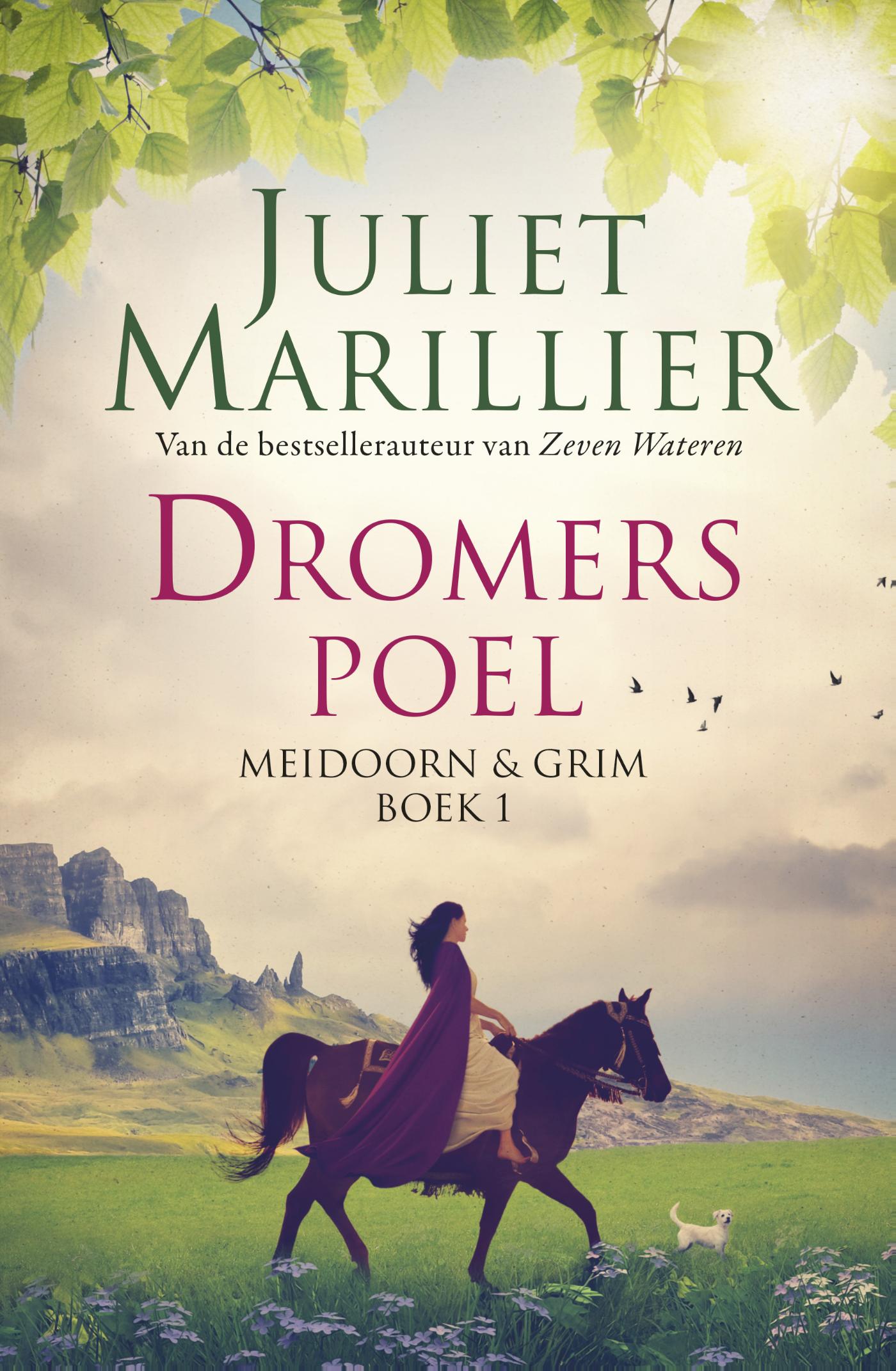 Omslag van Dromerspoel