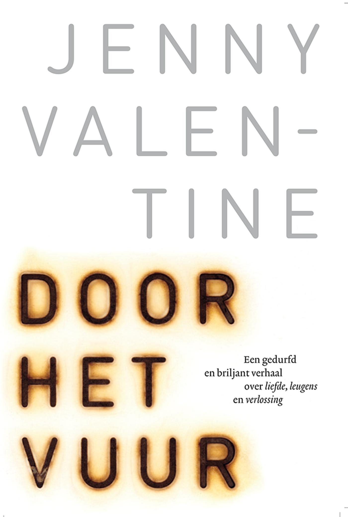 Omslag van Door het vuur