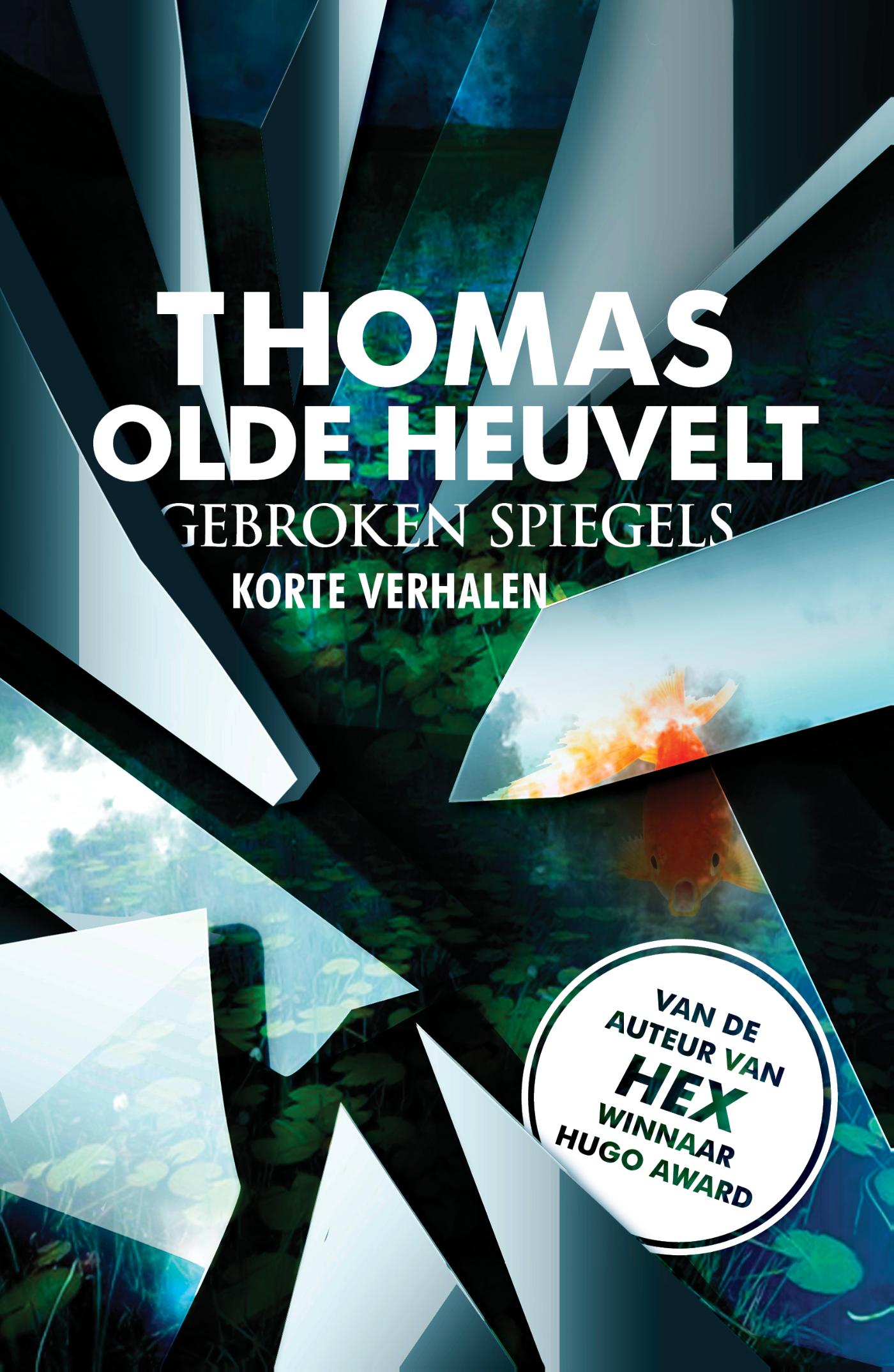 Omslag van Gebroken spiegels