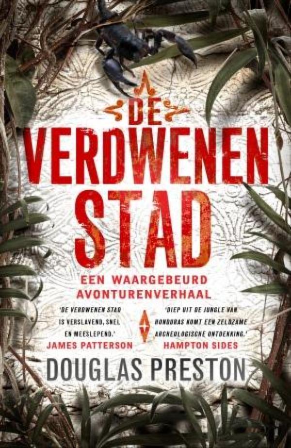 Omslag van De verdwenen stad