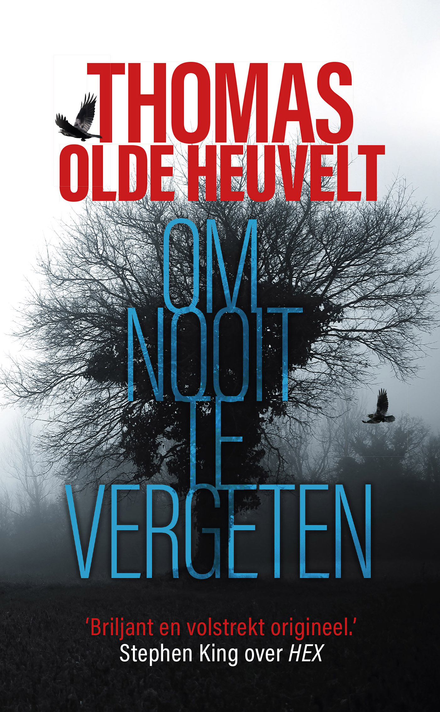 Omslag van Om nooit te vergeten