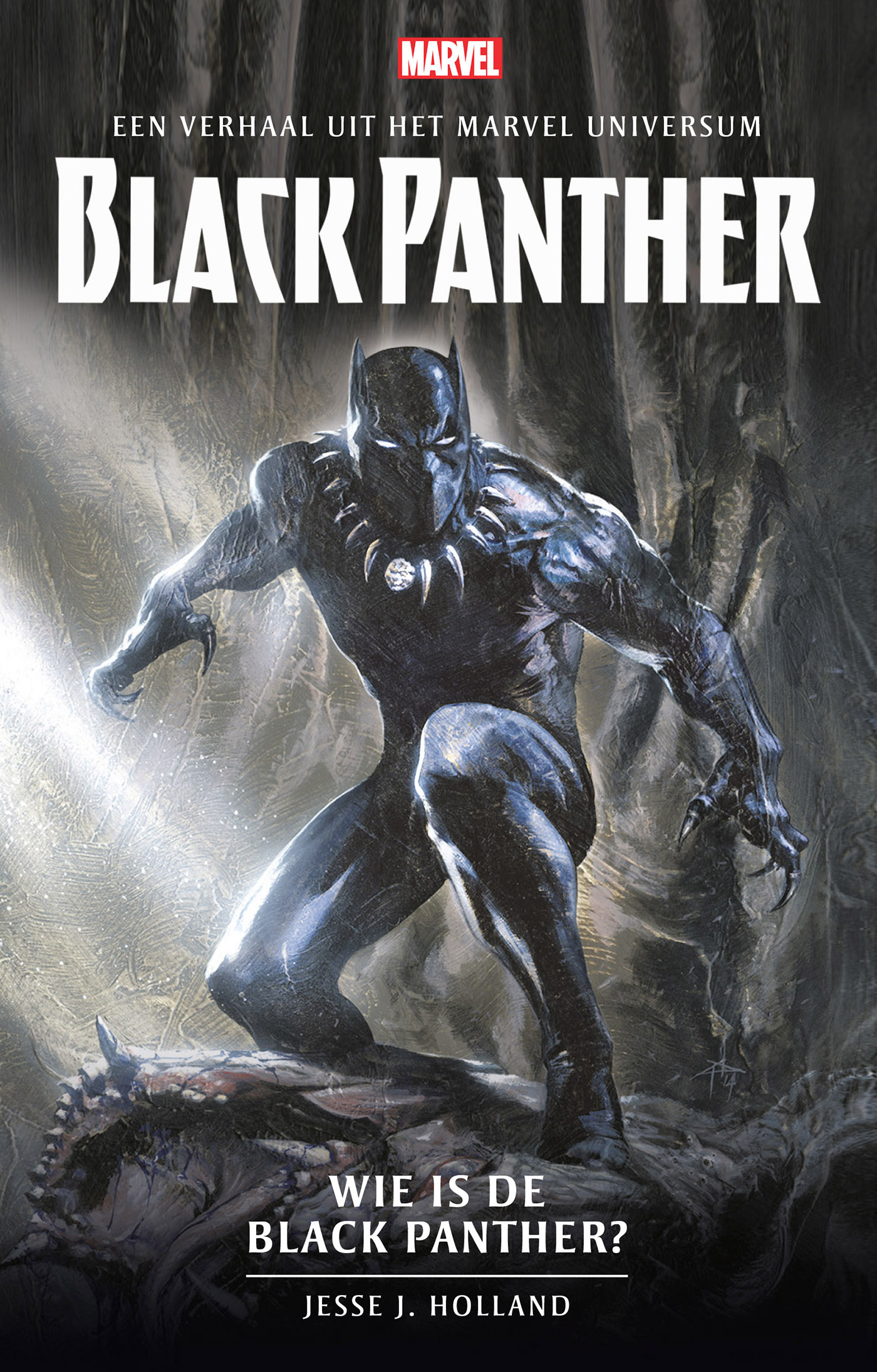 Omslag van Wie is de Black Panther?