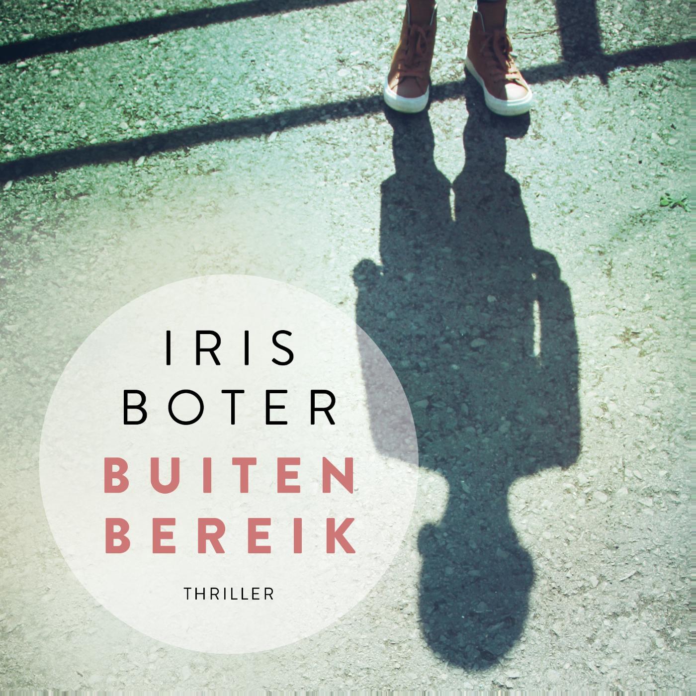 Omslag van Buiten bereik