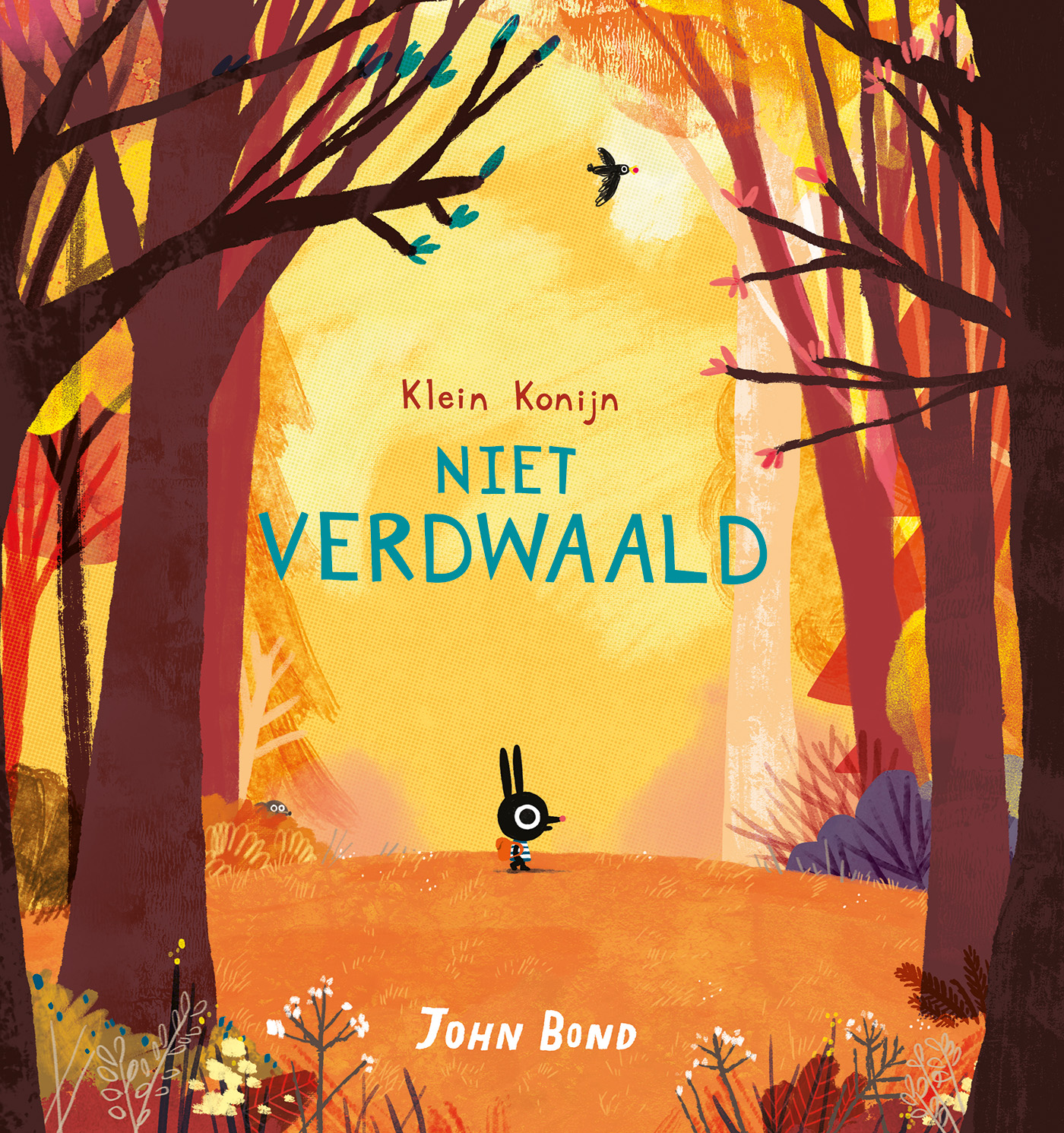 Omslag van Niet verdwaald