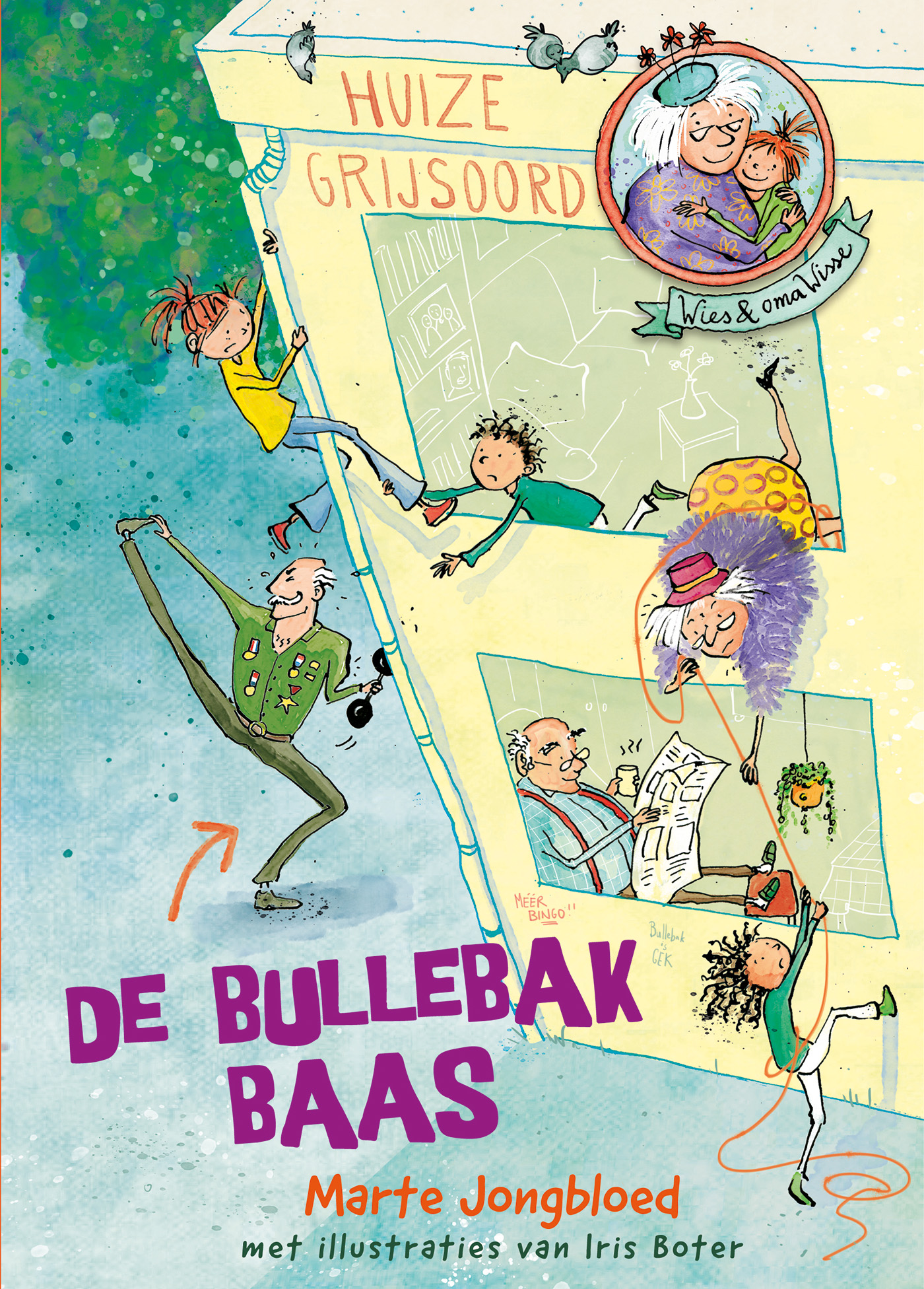 Omslag van De bullebakbaas