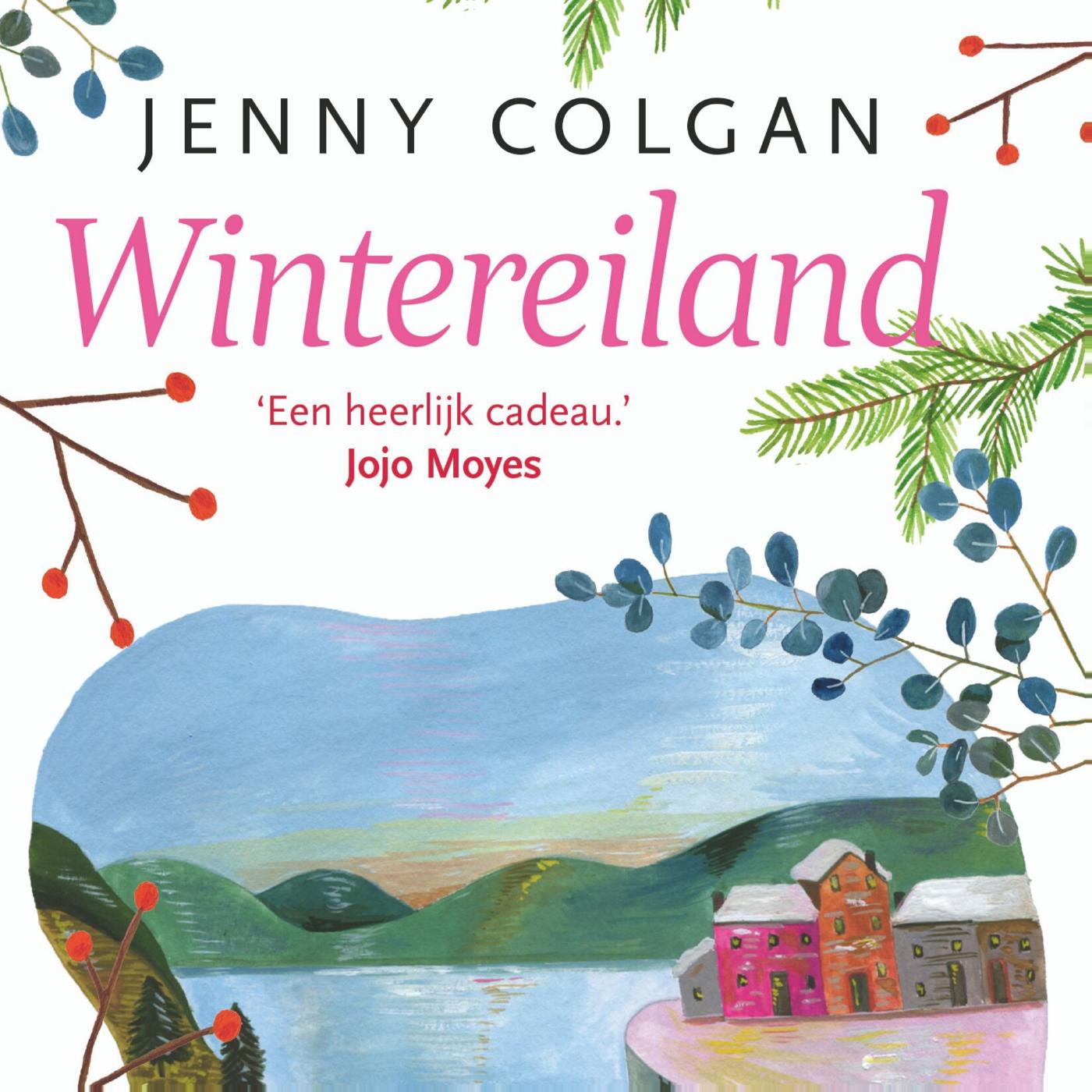 Omslag van Wintereiland