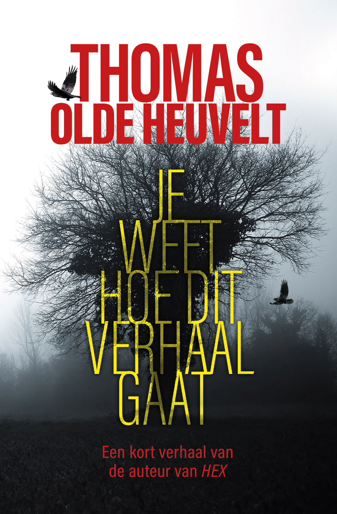 Omslag van Je weet hoe dit verhaal gaat