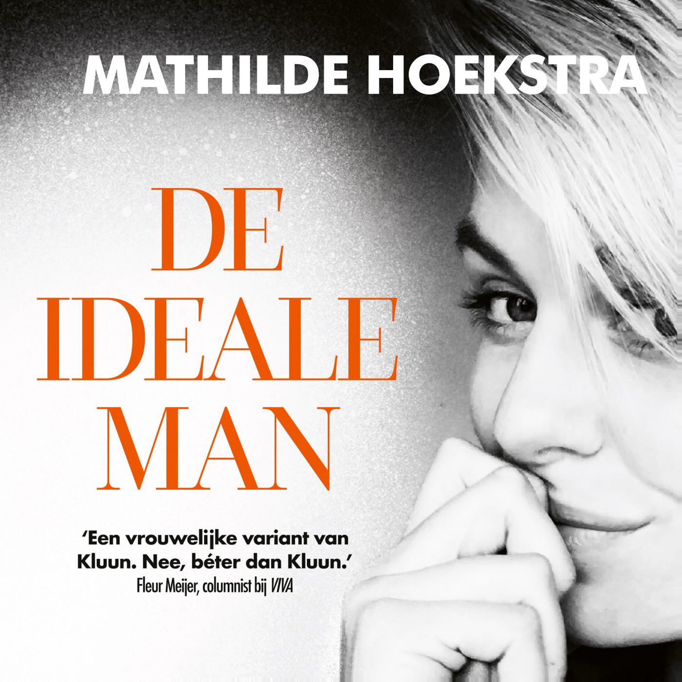 Omslag van De ideale man