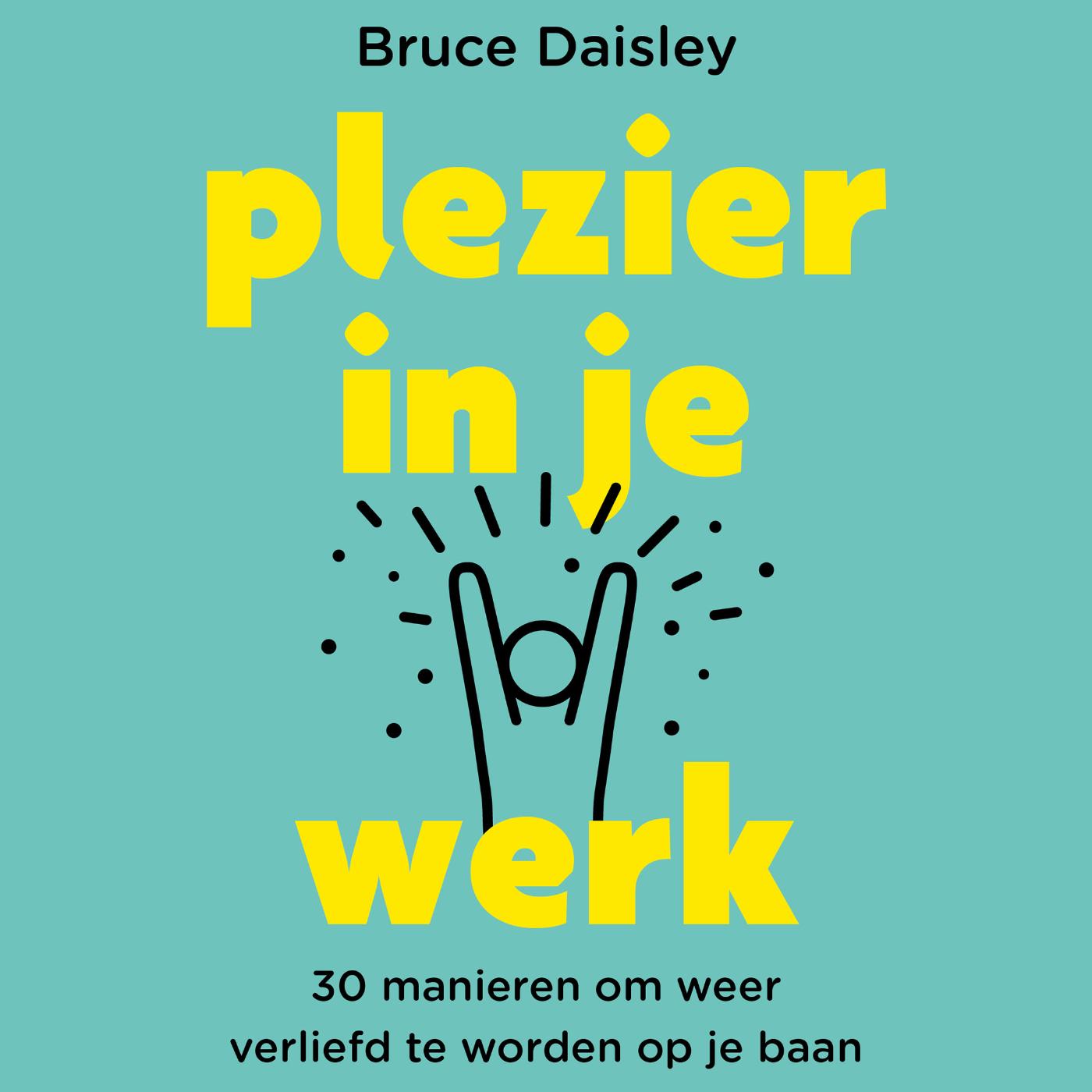Omslag van Plezier in je werk
