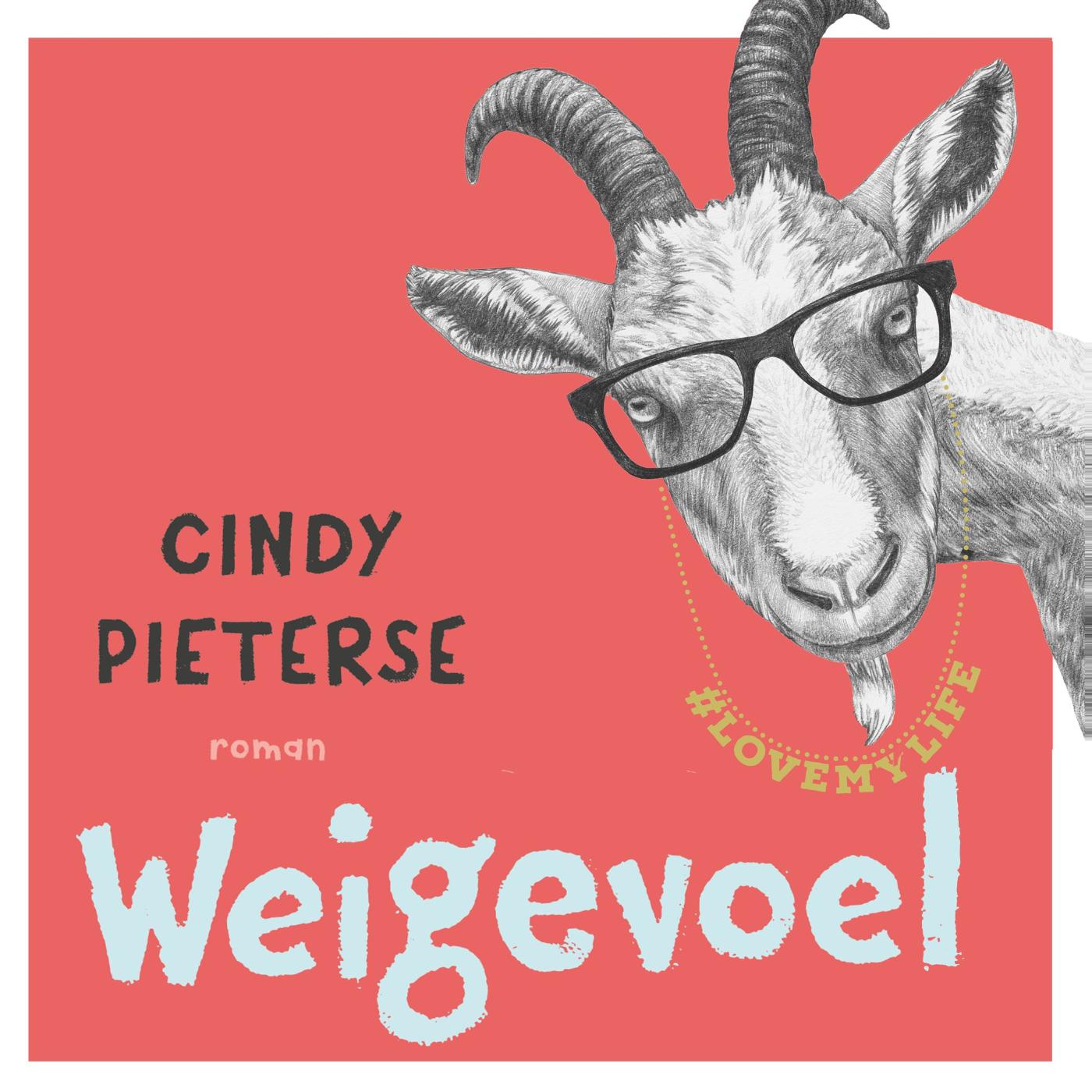Omslag van Weigevoel