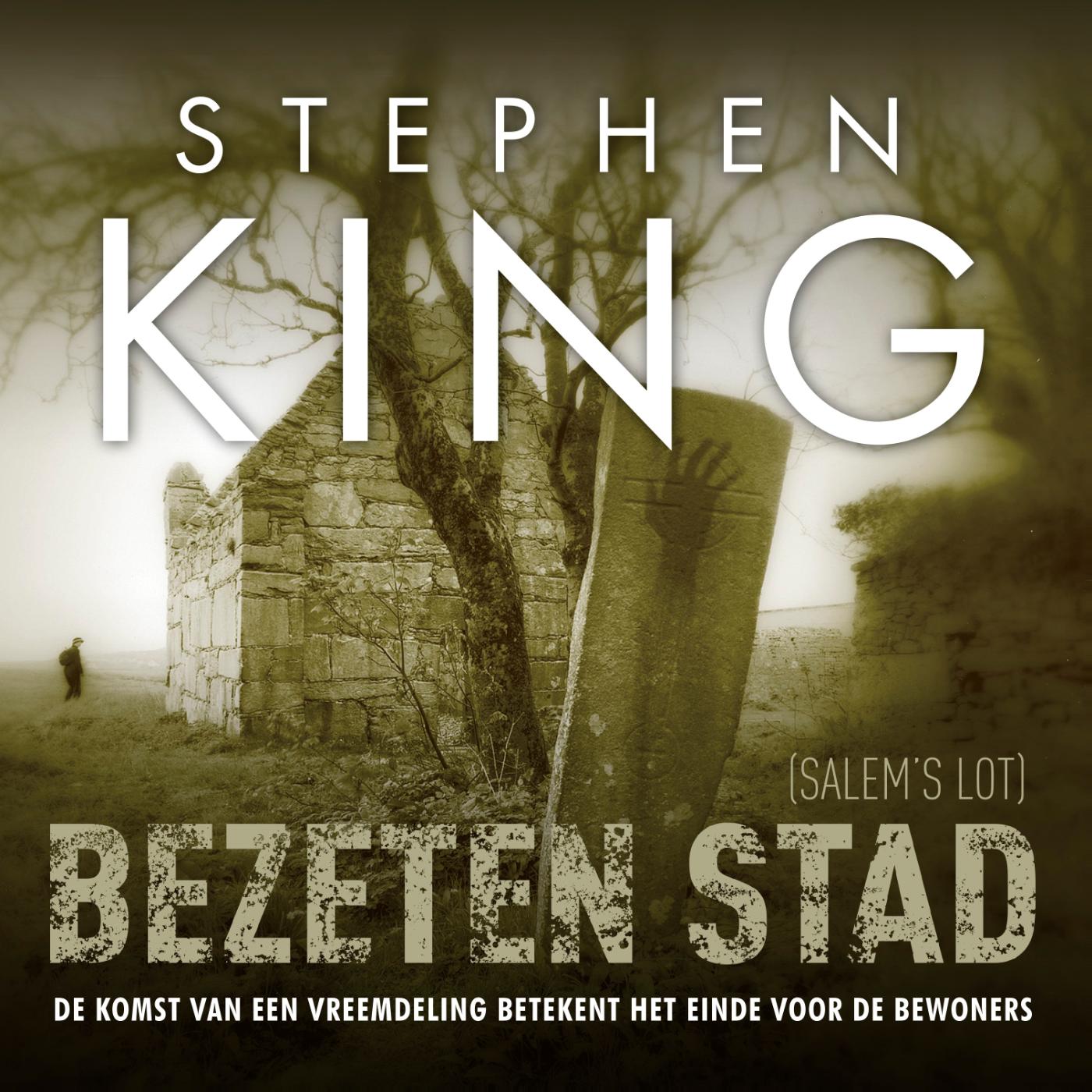 Omslag van Bezeten stad