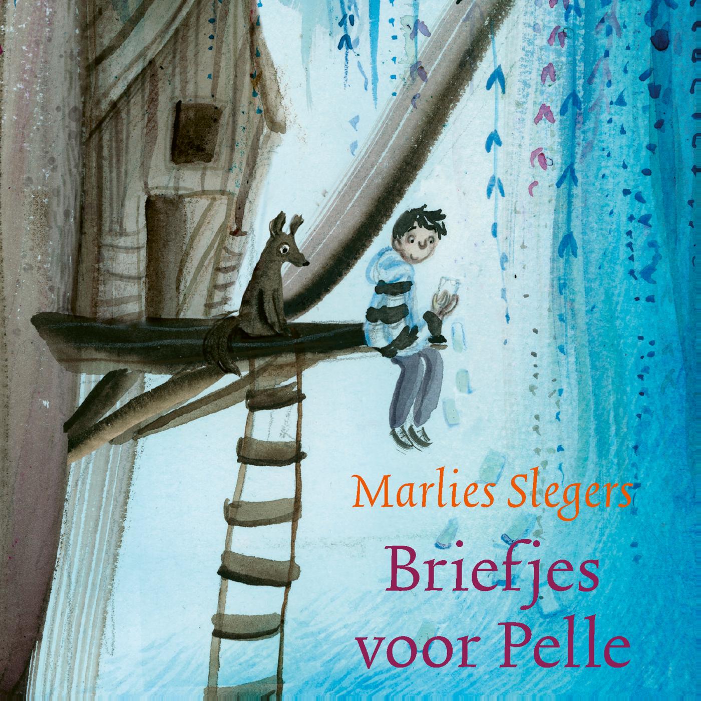 Omslag van Briefjes voor Pelle