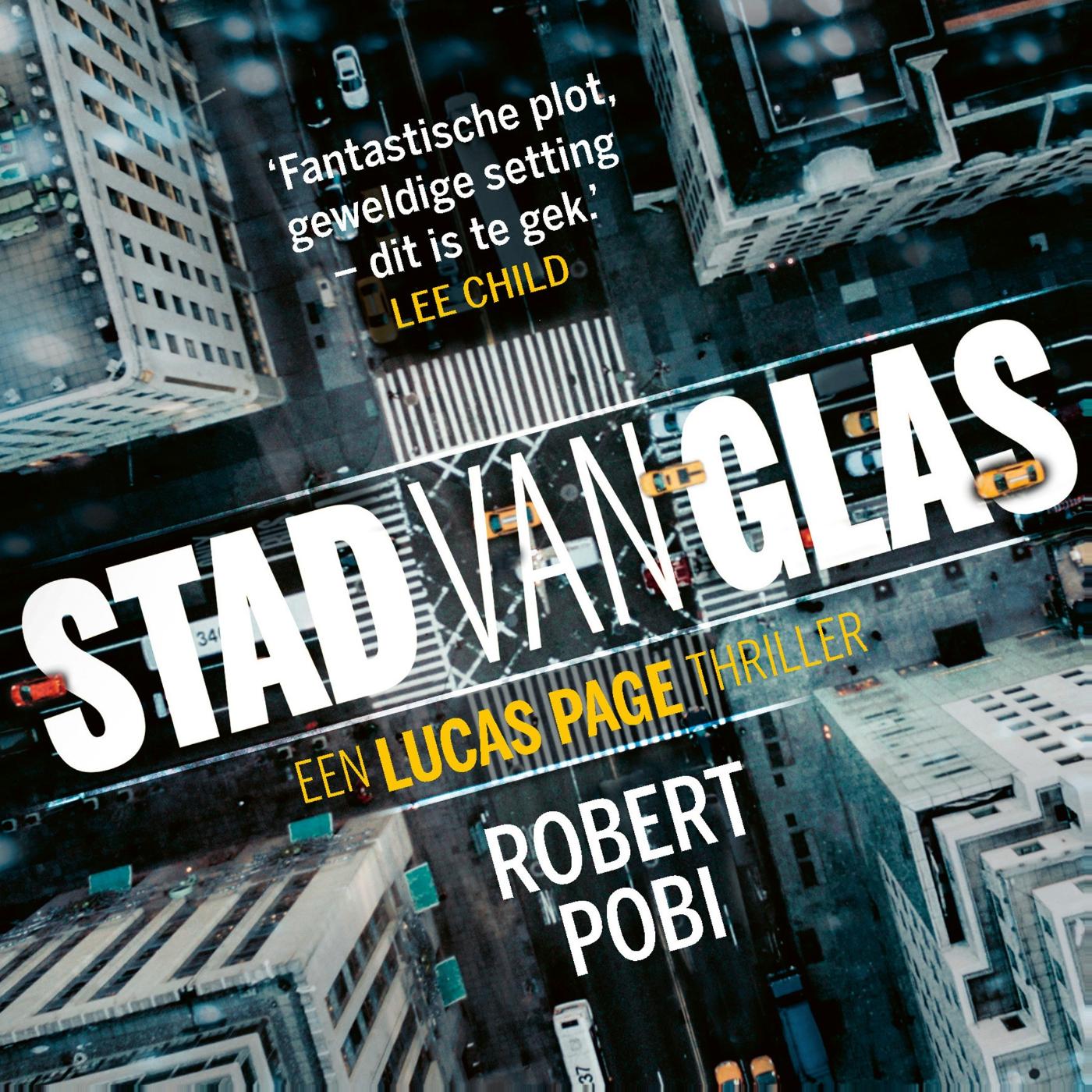 Omslag van Stad van glas