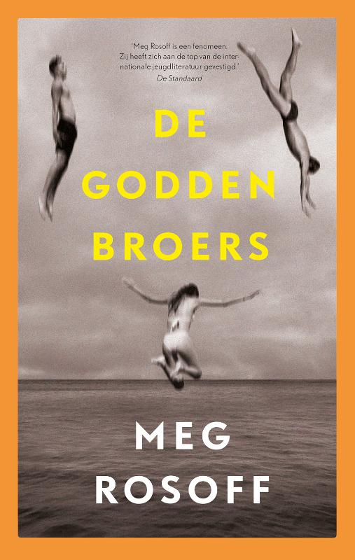 Omslag van De Godden broers