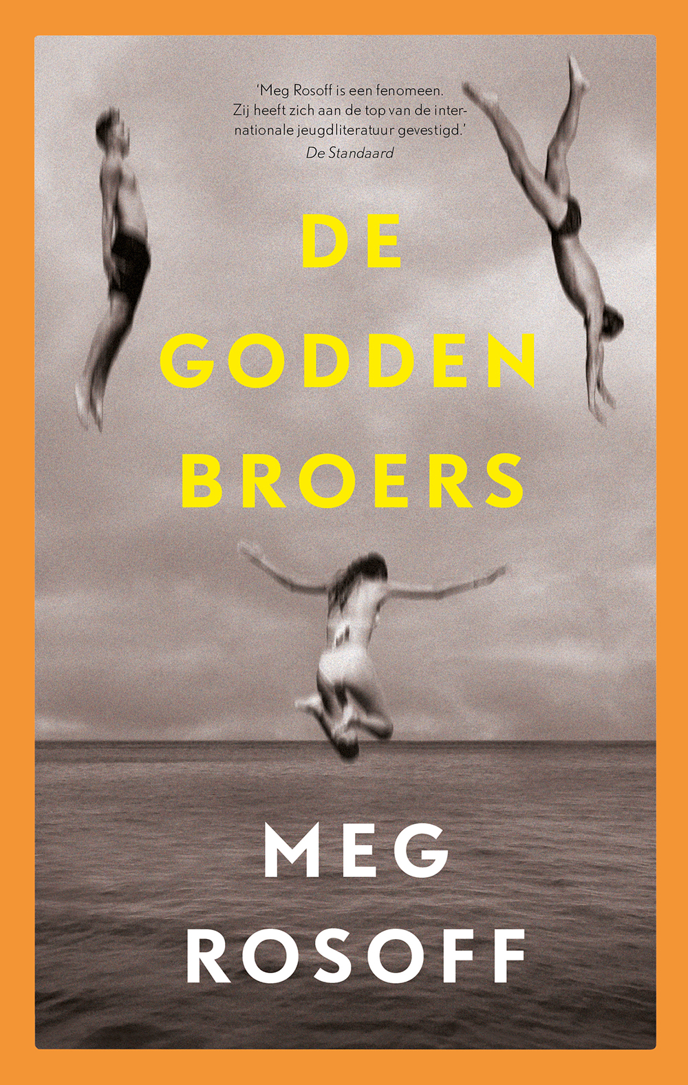 Omslag van De Godden broers