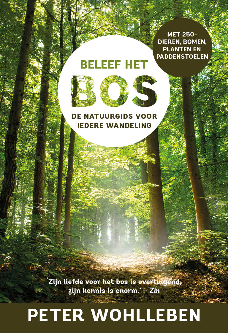 Omslag van Beleef het bos