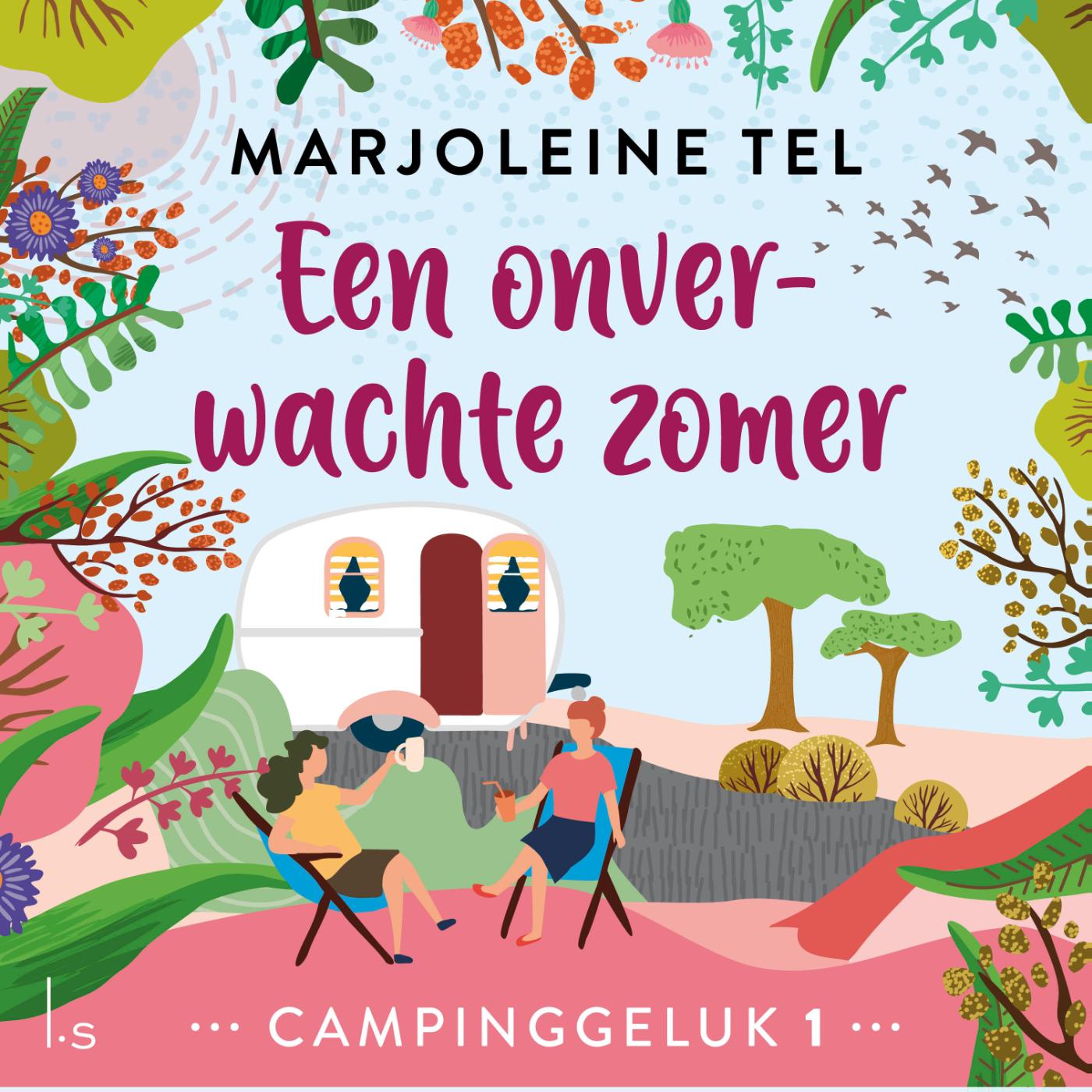 Omslag van Een onverwachte zomer