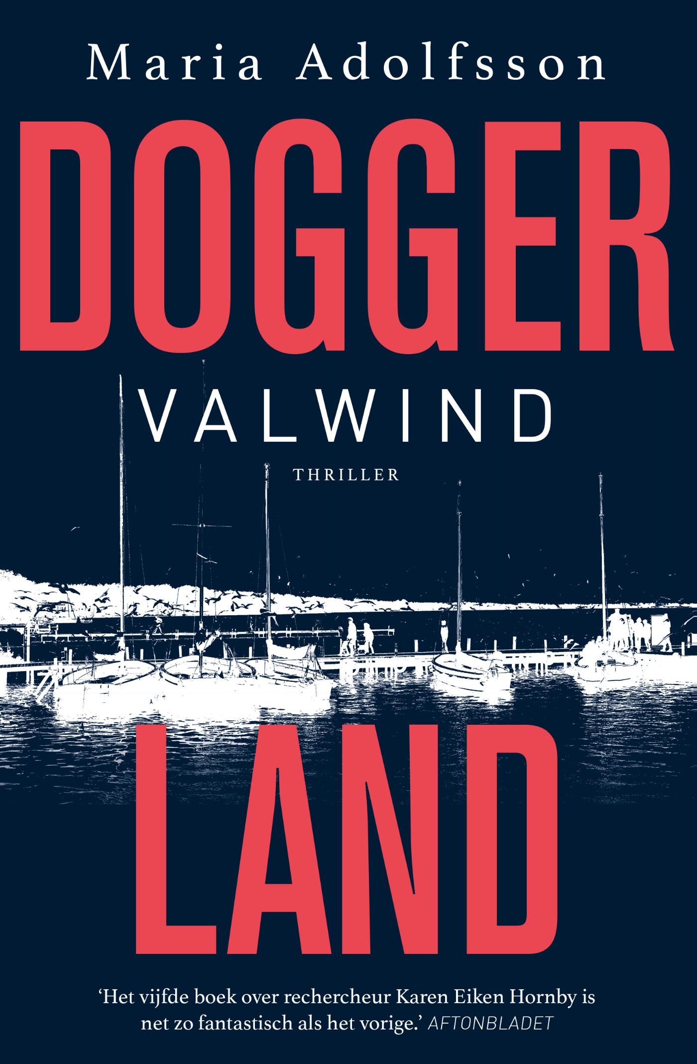 Omslag van Valwind