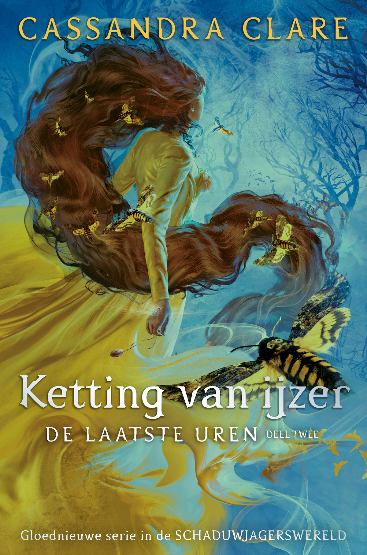 Omslag van Ketting van ijzer