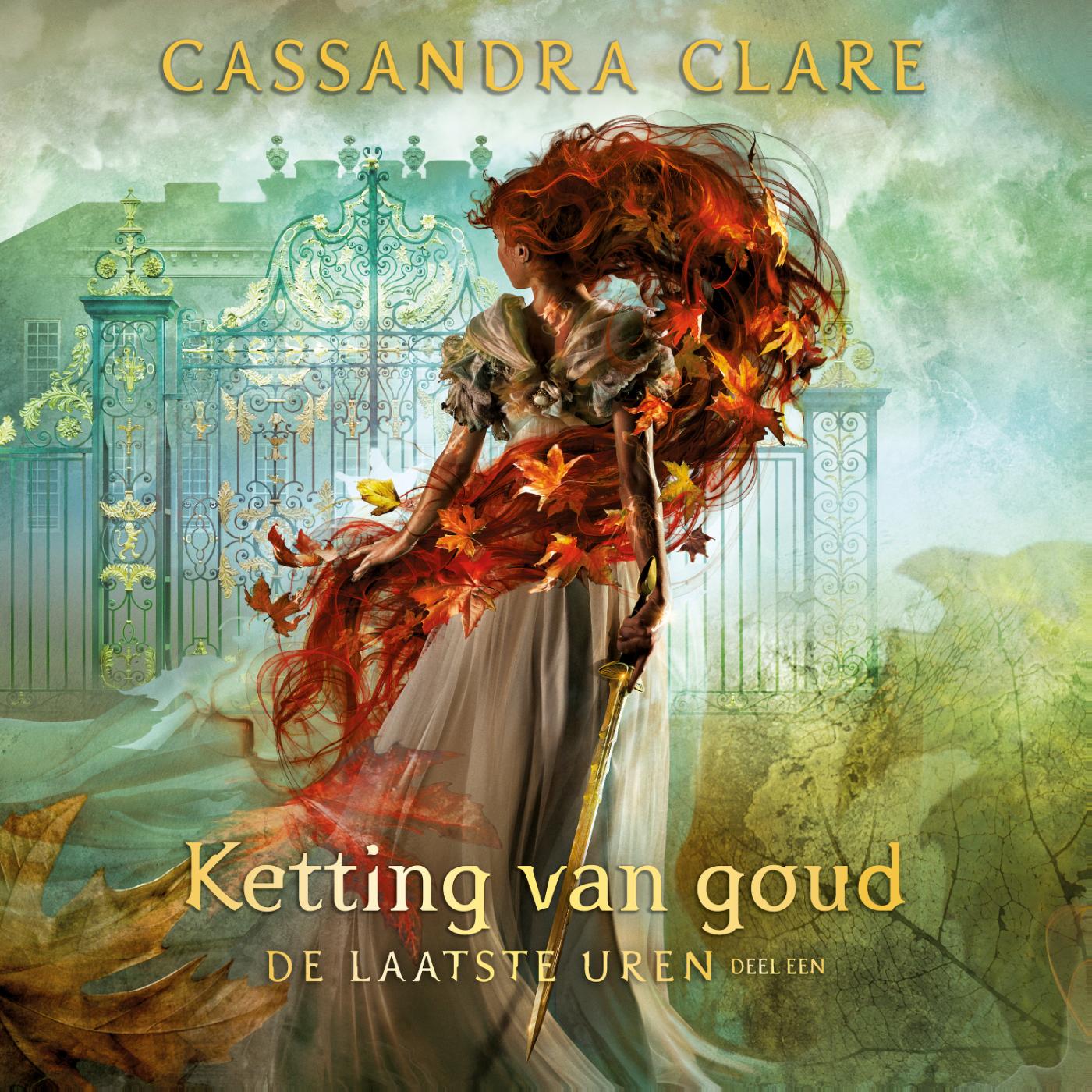 Omslag van Ketting van goud