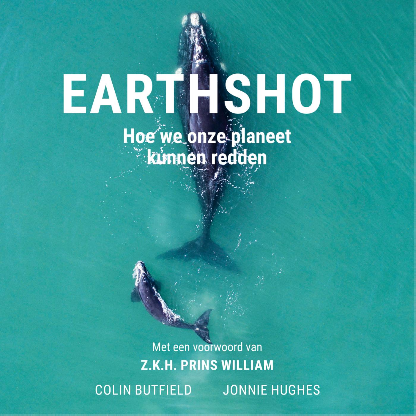 Omslag van Earthshot