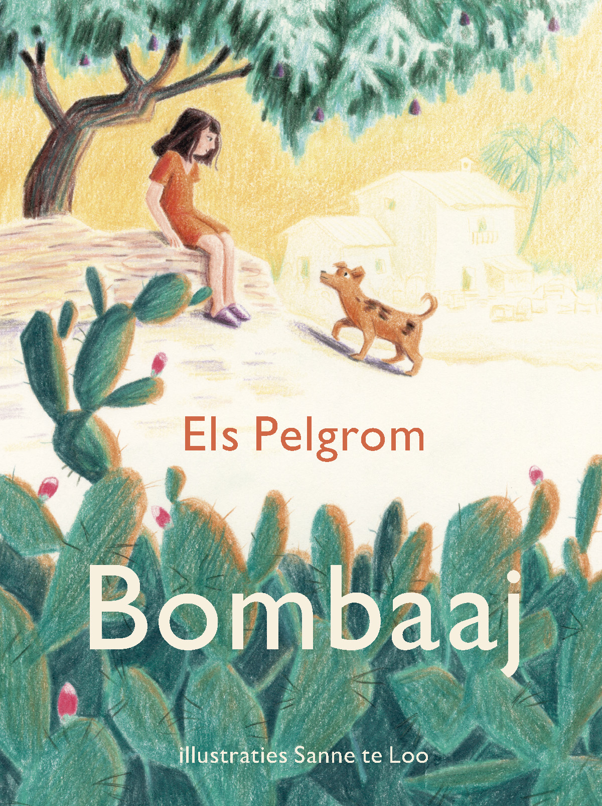Omslag van Bombaaj