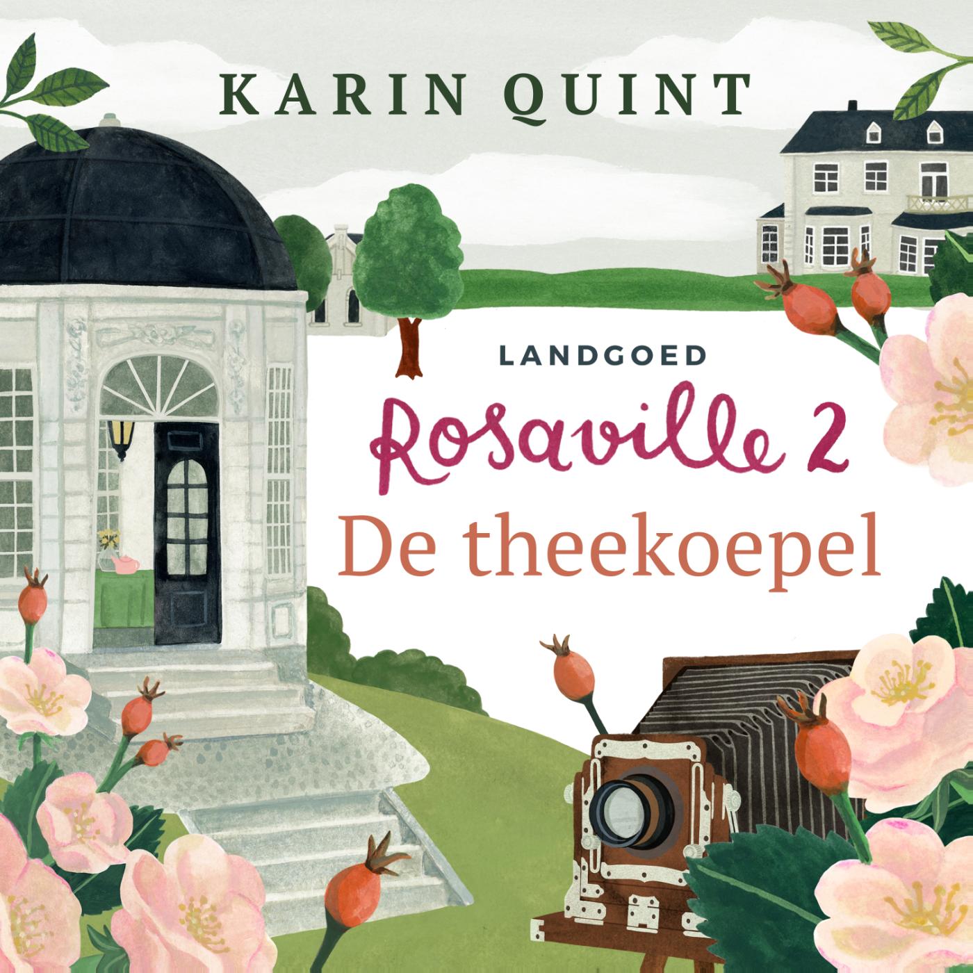 Omslag van De theekoepel