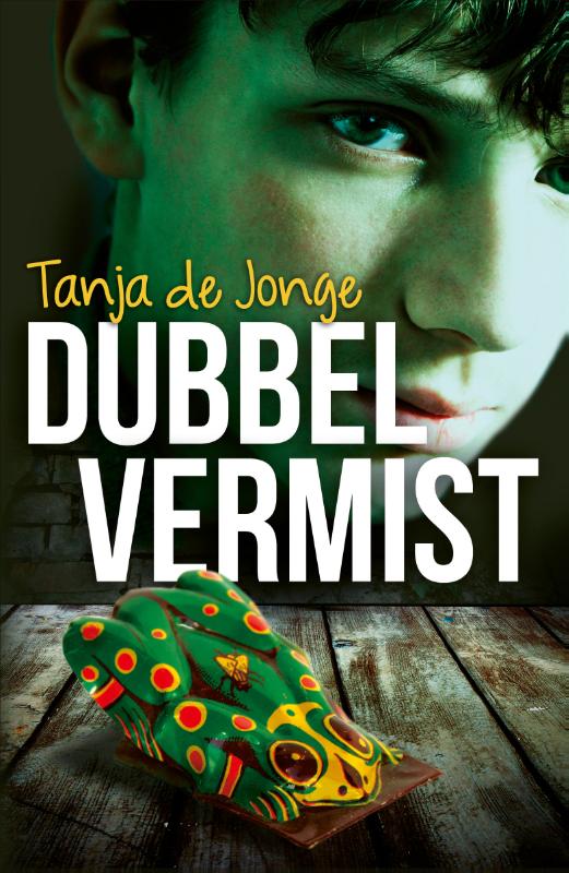 Omslag van Dubbel vermist