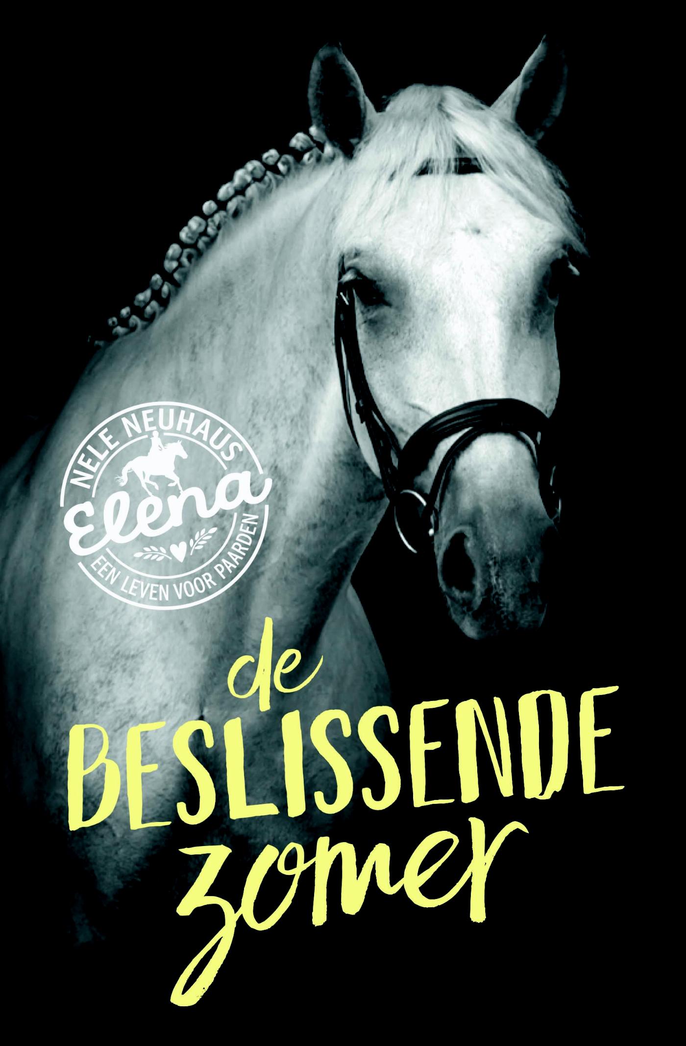 Omslag van De beslissende zomer