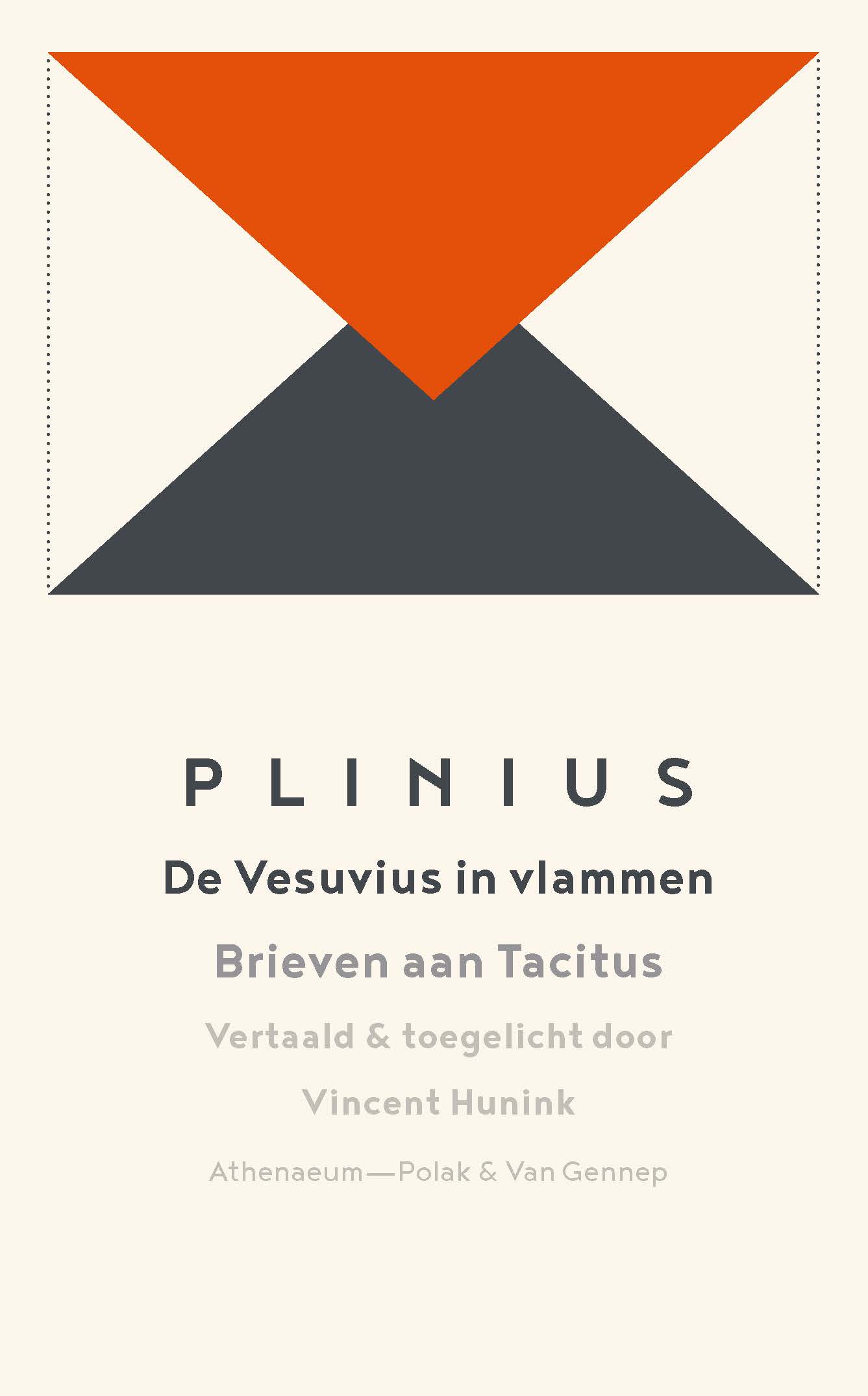 Omslag van De Vesuvius in vlammen