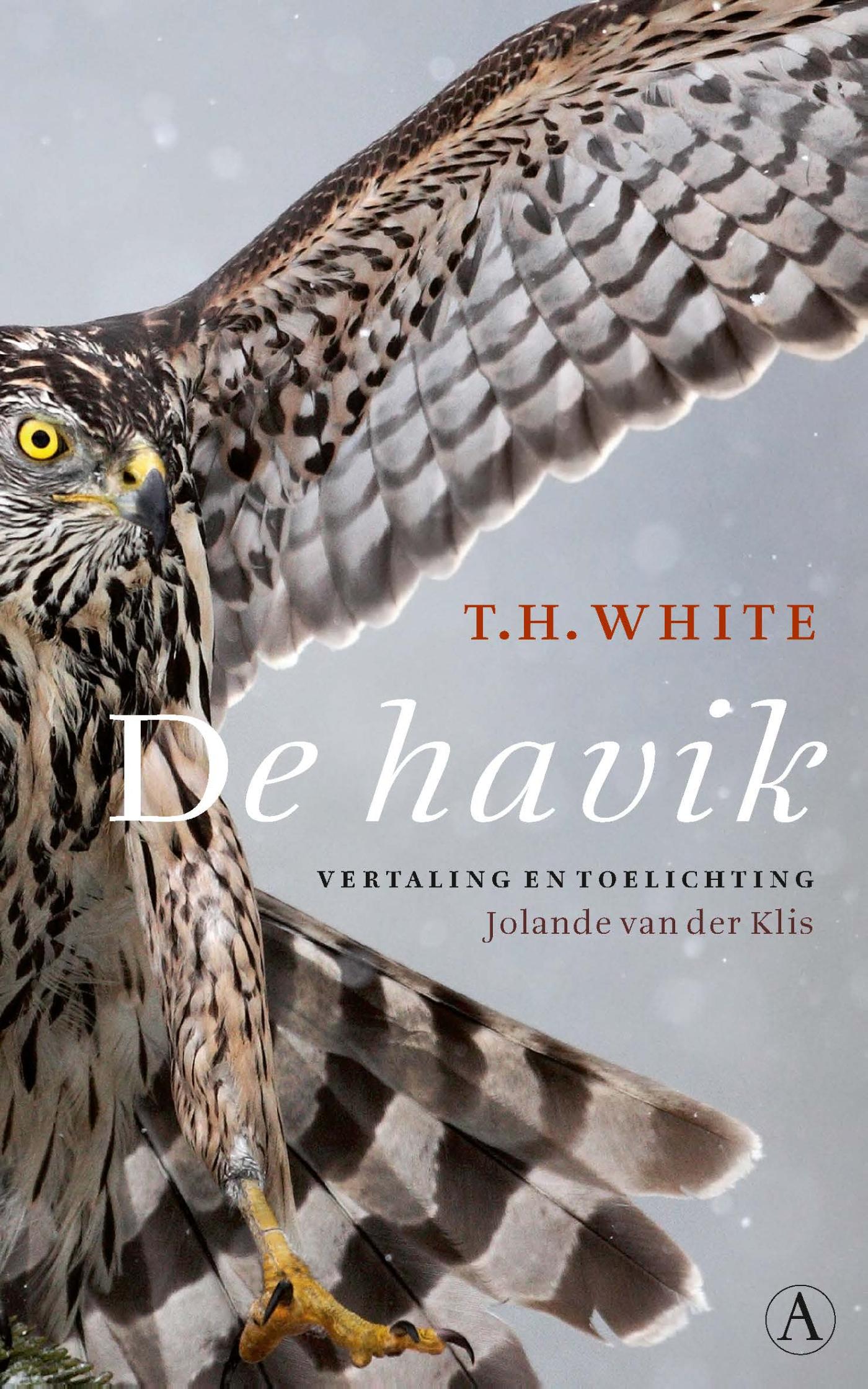 Omslag van De havik