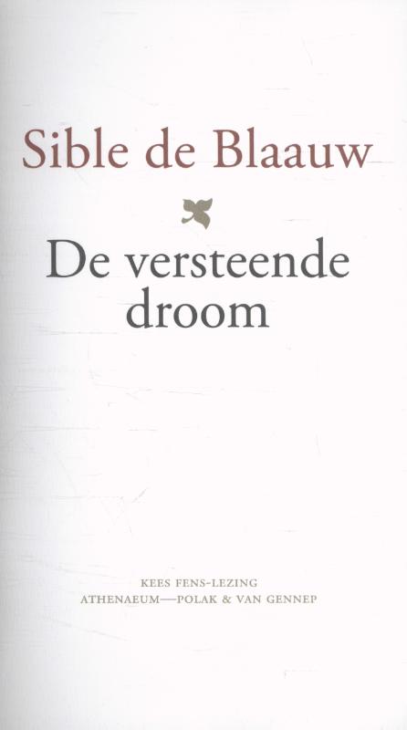 Omslag van De versteende droom. Kees Fens-lezing