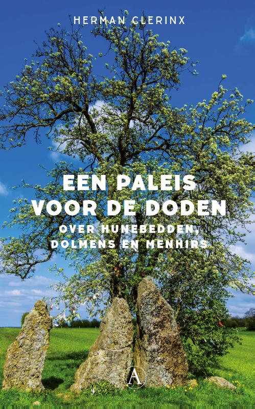 Omslag van Een paleis voor de doden