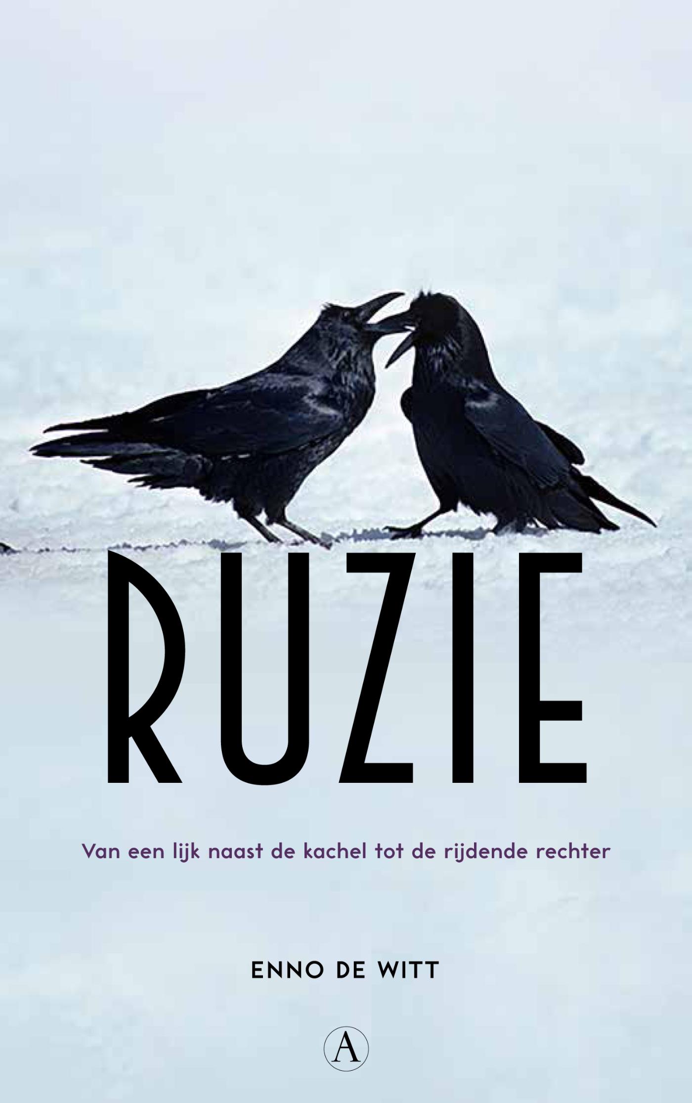 Omslag van Ruzie