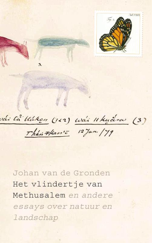 Omslag van Het vlindertje van Methusalem