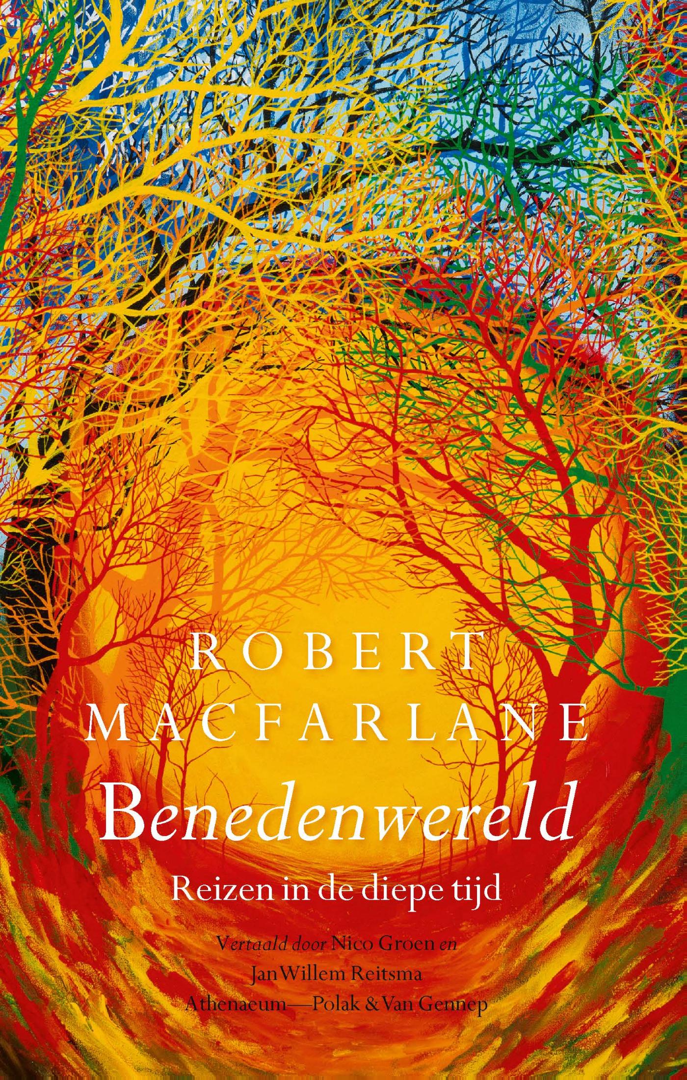 Omslag van Benedenwereld