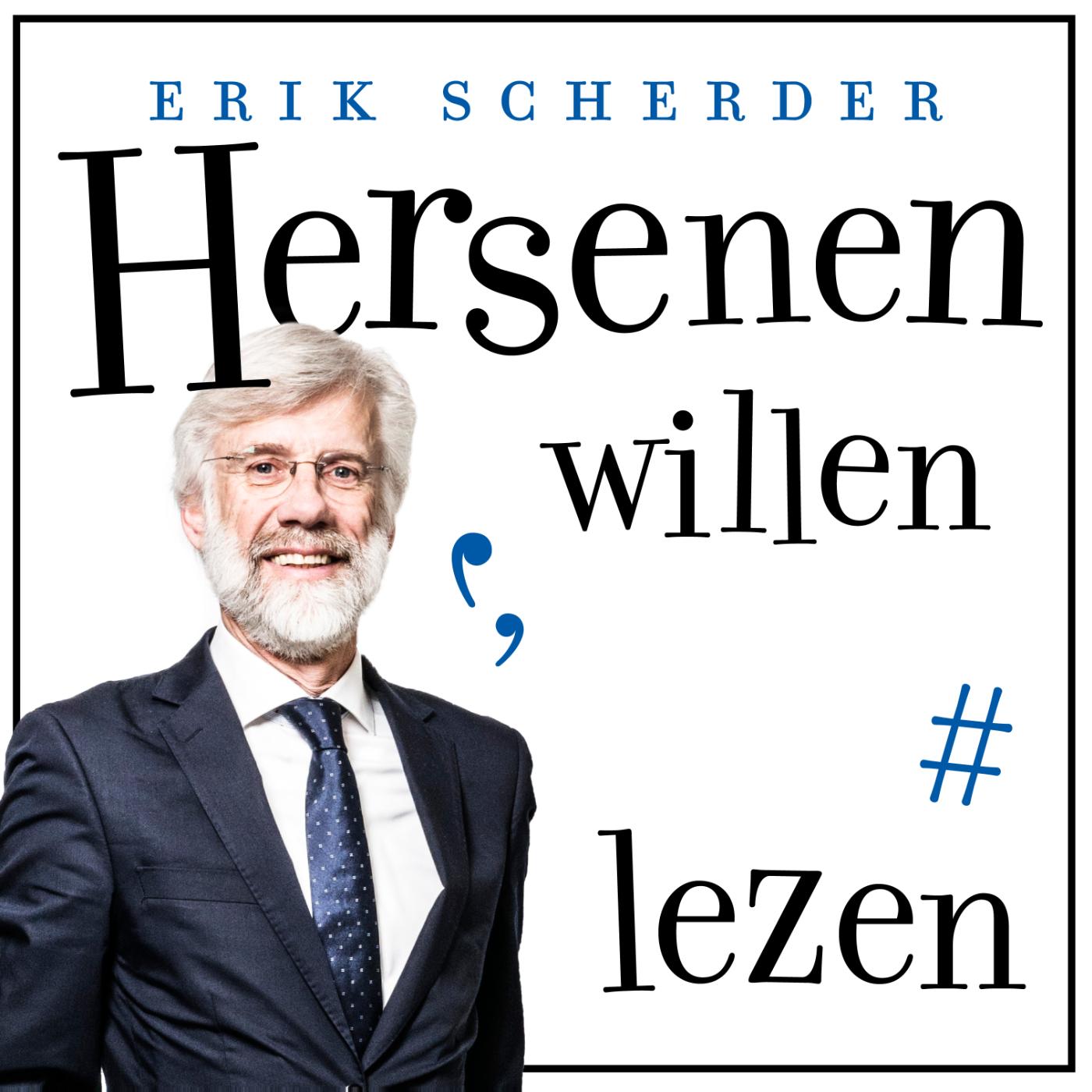 Omslag van Hersenen willen lezen
