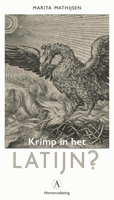 Omslag van Krimp in het Latijn?