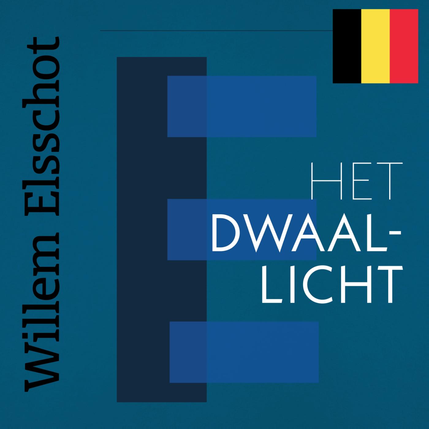 Omslag van Het Dwaallicht