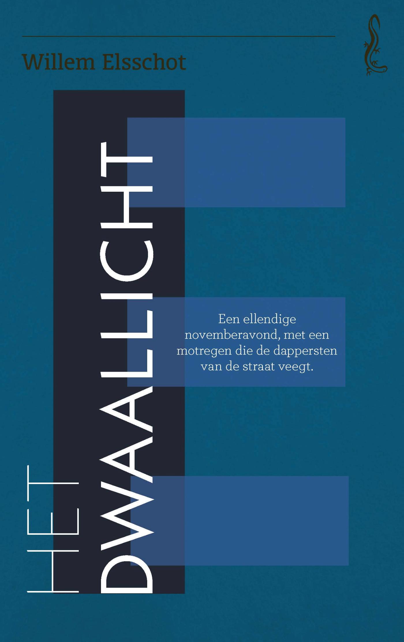 Omslag van Dwaallicht