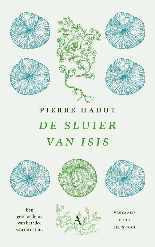 Omslag van De sluier van Isis