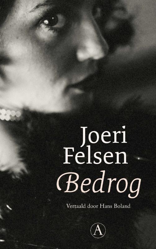 Omslag van Bedrog