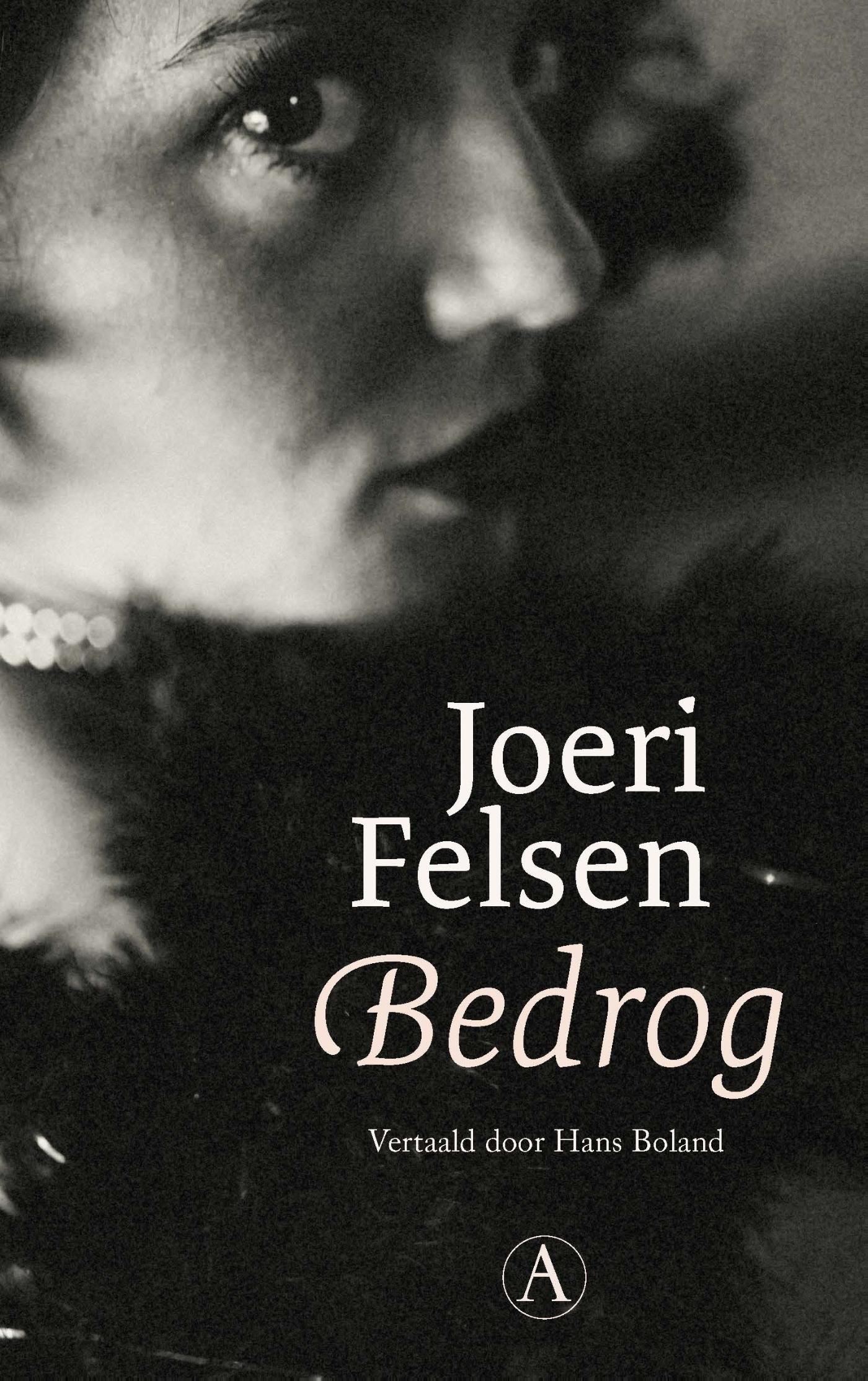 Omslag van Bedrog