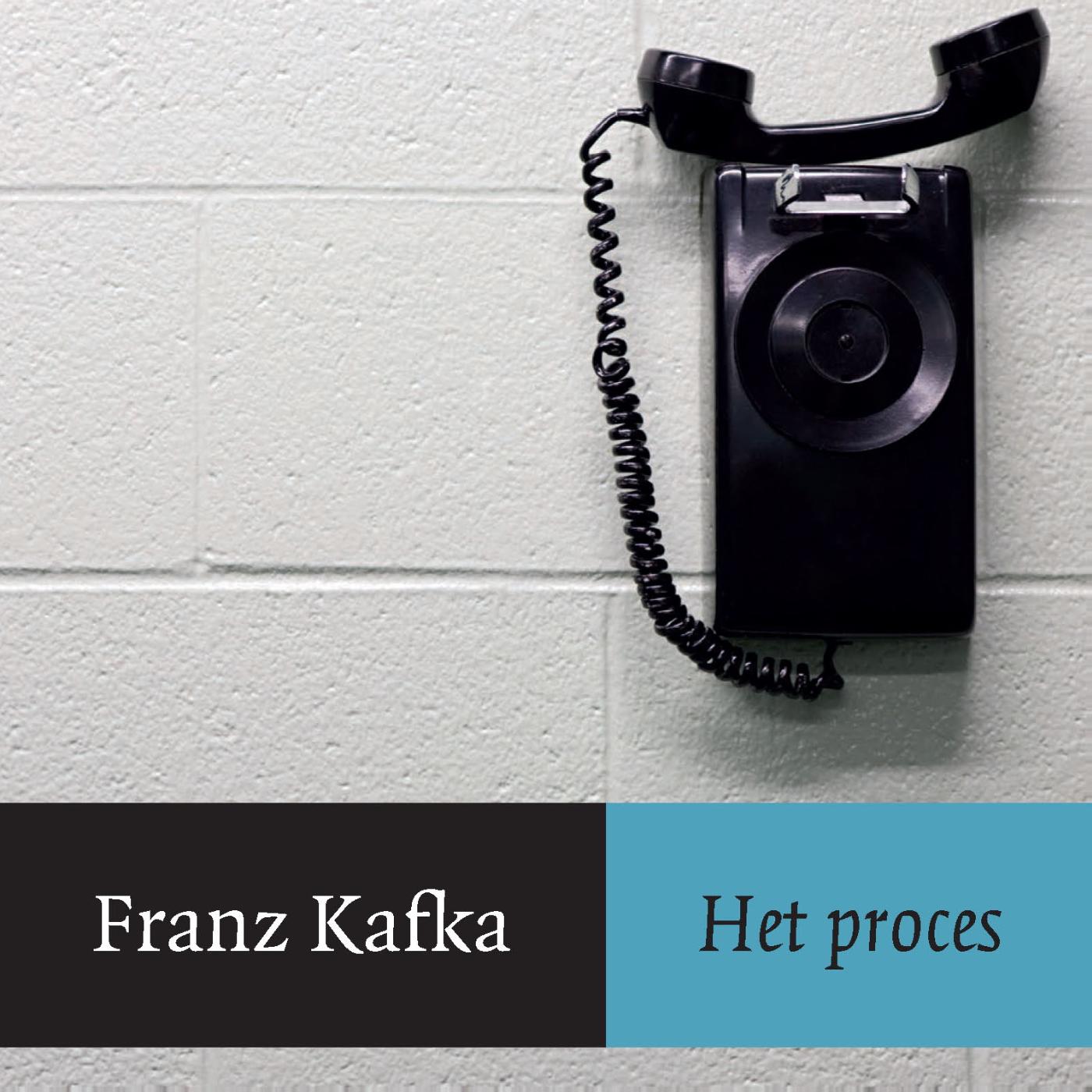 Omslag van Het proces
