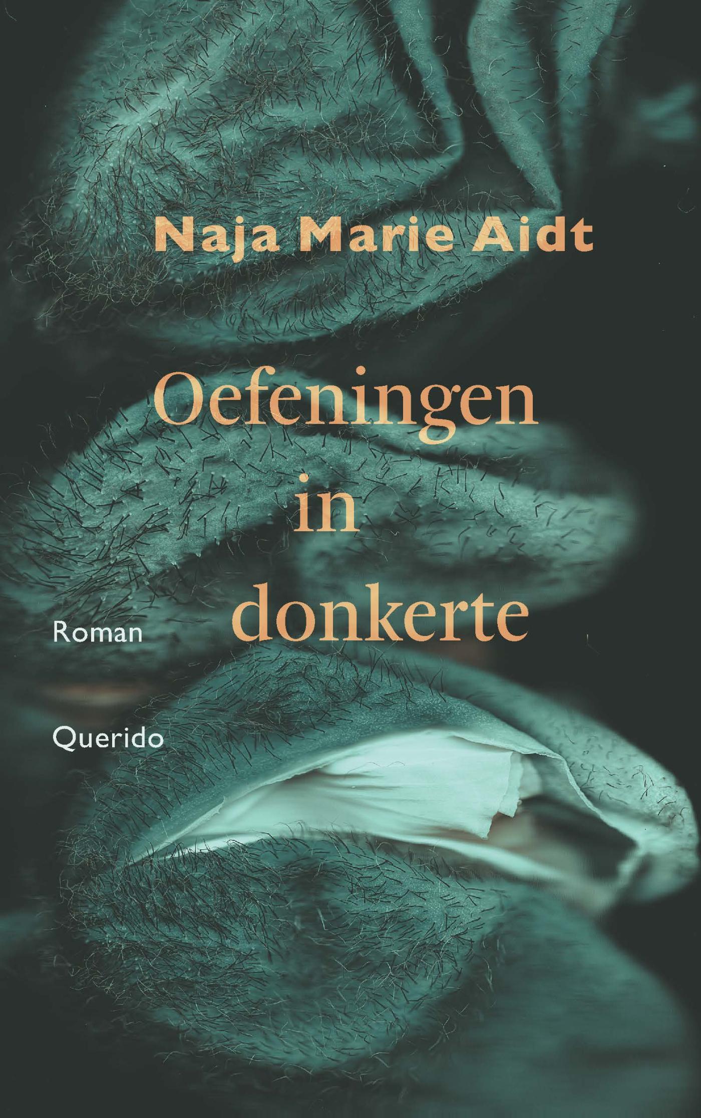Omslag van Oefeningen in donkerte