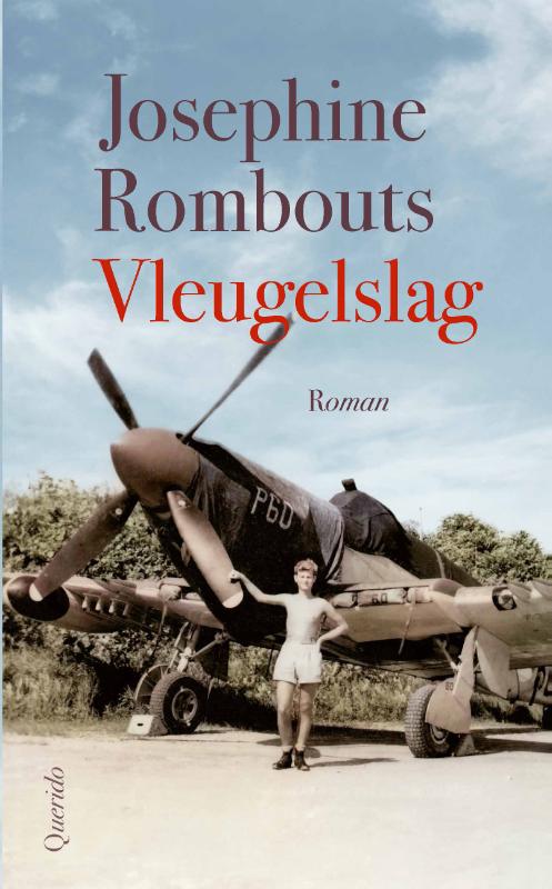Omslag van Vleugelslag