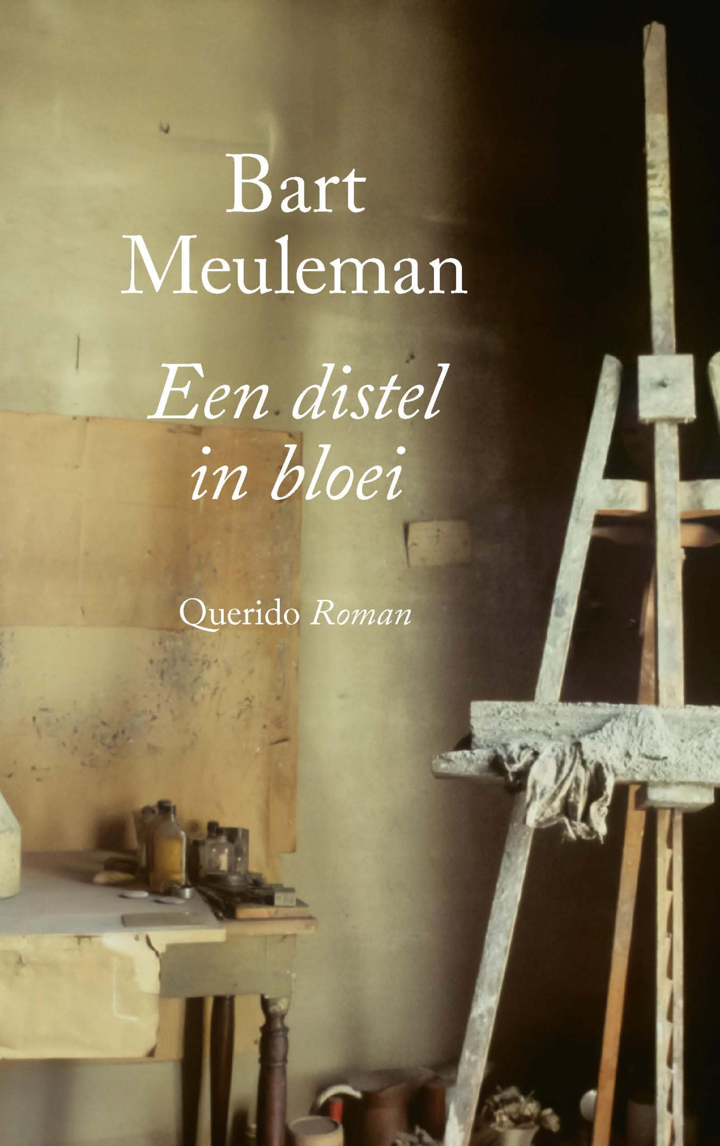 Omslag van Een distel in bloei