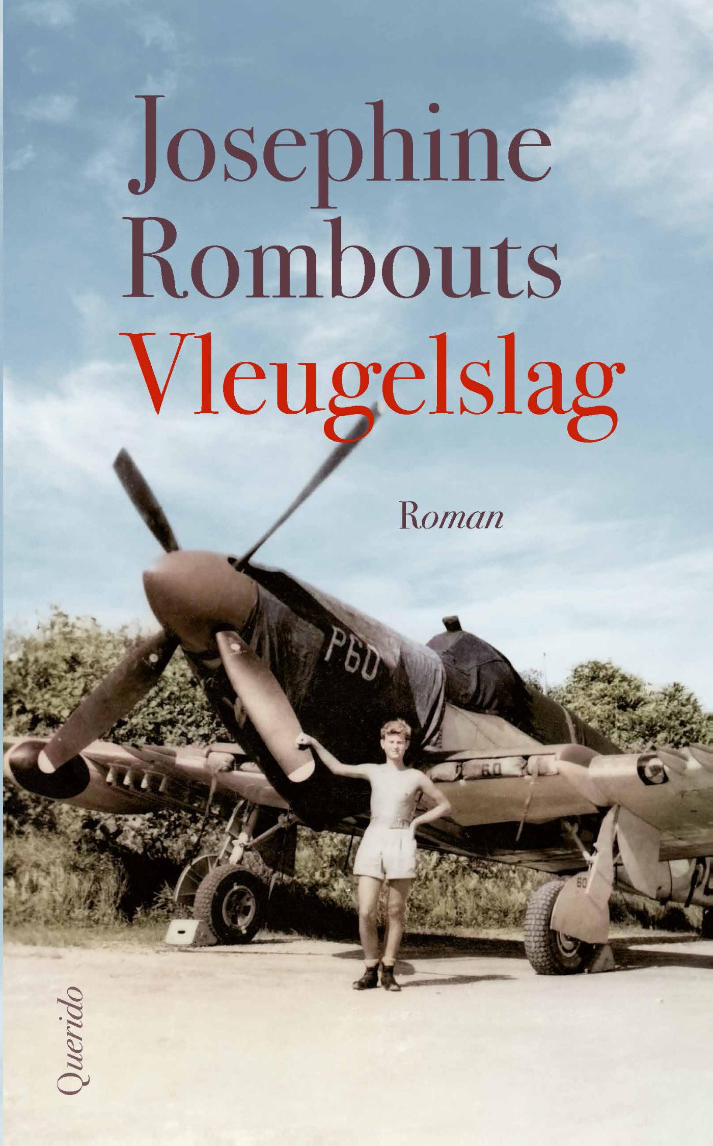 Omslag van Vleugelslag