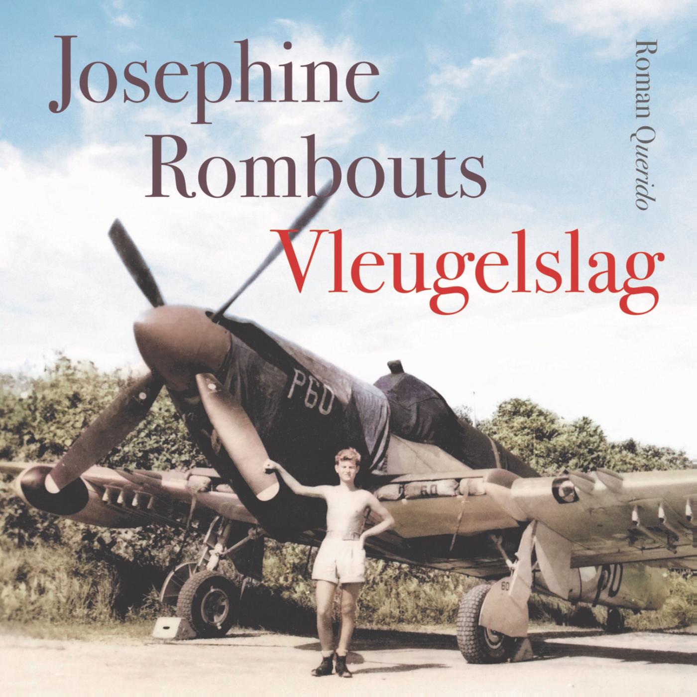 Omslag van Vleugelslag
