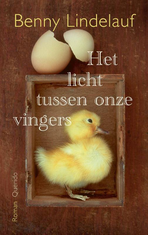 Omslag van Het licht tussen onze vingers